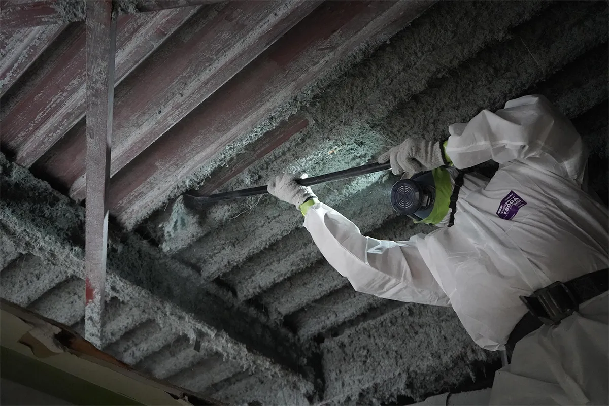 アスベスト（石綿）除去作業