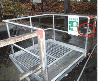 有機汚泥ピット