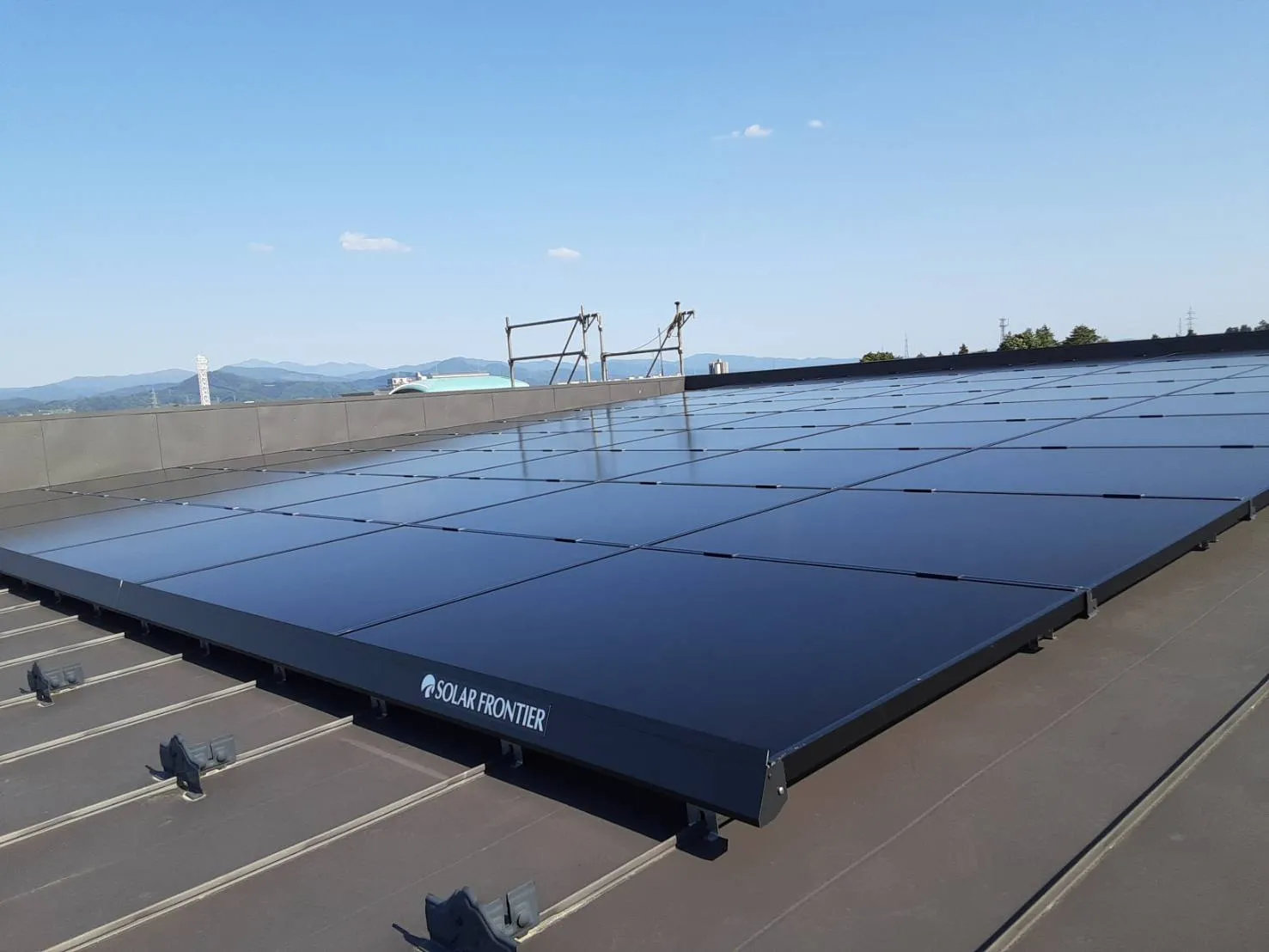 沿線清掃奉仕活動①