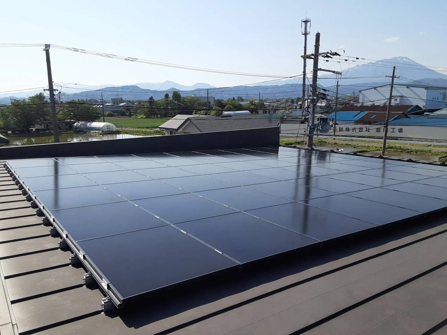 沿線清掃奉仕活動②